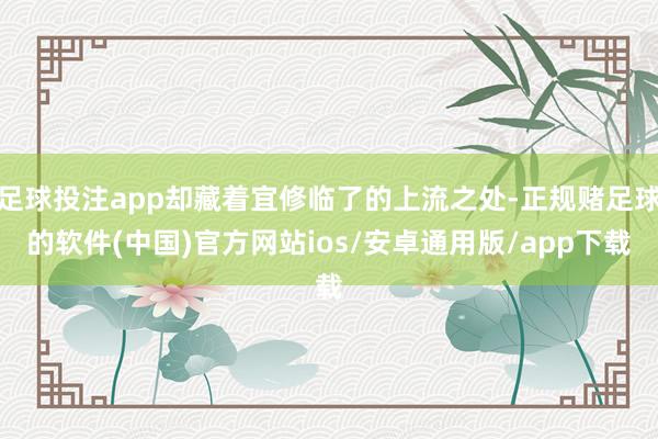 足球投注app却藏着宜修临了的上流之处-正规赌足球的软件(中国)官方网站ios/安卓通用版/app下载