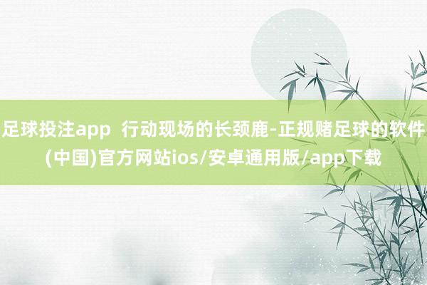 足球投注app  行动现场的长颈鹿-正规赌足球的软件(中国)官方网站ios/安卓通用版/app下载