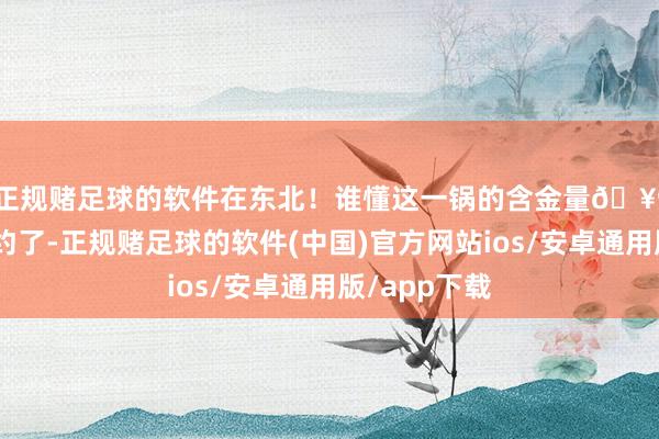 正规赌足球的软件在东北！谁懂这一锅的含金量🥺🥺香隐约了-正规赌足球的软件(中国)官方网站ios/安卓通用版/app下载