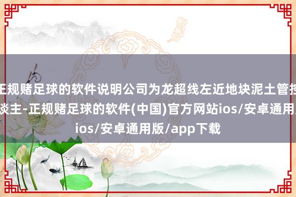 正规赌足球的软件说明公司为龙超线左近地块泥土管控工程中标东谈主-正规赌足球的软件(中国)官方网站ios/安卓通用版/app下载