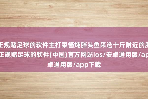 正规赌足球的软件主打菜酱炖胖头鱼采选十斤附近的胖头鱼-正规赌足球的软件(中国)官方网站ios/安卓通用版/app下载