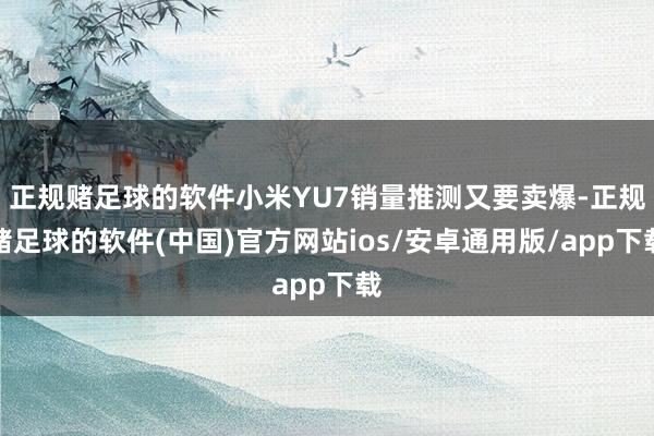 正规赌足球的软件小米YU7销量推测又要卖爆-正规赌足球的软件(中国)官方网站ios/安卓通用版/app下载