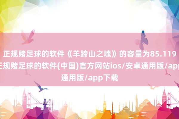正规赌足球的软件《羊蹄山之魂》的容量为85.119GB-正规赌足球的软件(中国)官方网站ios/安卓通用版/app下载