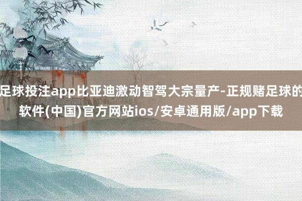 足球投注app比亚迪激动智驾大宗量产-正规赌足球的软件(中国)官方网站ios/安卓通用版/app下载