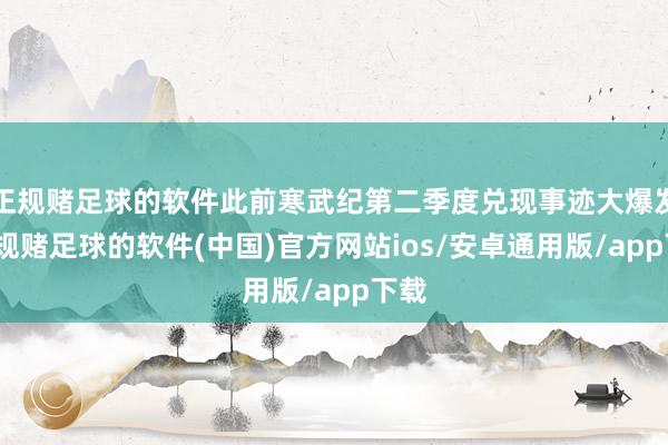 正规赌足球的软件此前寒武纪第二季度兑现事迹大爆发-正规赌足球的软件(中国)官方网站ios/安卓通用版/app下载