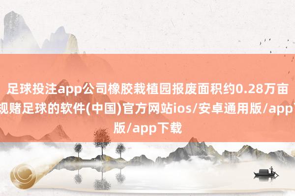 足球投注app公司橡胶栽植园报废面积约0.28万亩-正规赌足球的软件(中国)官方网站ios/安卓通用版/app下载