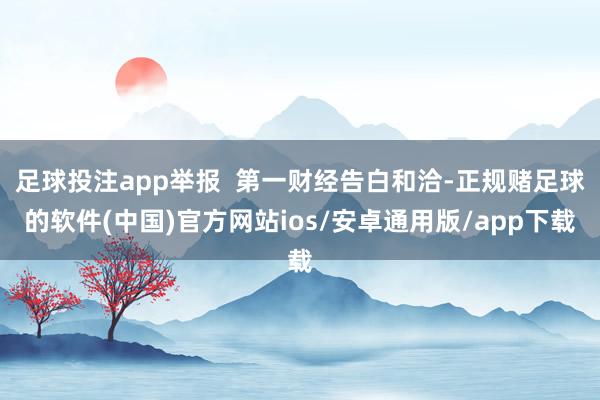 足球投注app举报  第一财经告白和洽-正规赌足球的软件(中国)官方网站ios/安卓通用版/app下载