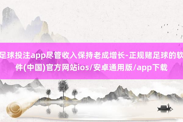 足球投注app尽管收入保持老成增长-正规赌足球的软件(中国)官方网站ios/安卓通用版/app下载