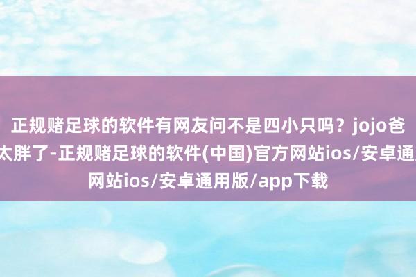 正规赌足球的软件有网友问不是四小只吗？jojo爸说：博好意思太胖了-正规赌足球的软件(中国)官方网站ios/安卓通用版/app下载