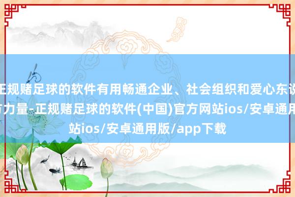 正规赌足球的软件有用畅通企业、社会组织和爱心东说念主士等多方力量-正规赌足球的软件(中国)官方网站ios/安卓通用版/app下载