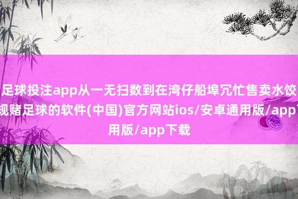 足球投注app从一无扫数到在湾仔船埠冗忙售卖水饺-正规赌足球的软件(中国)官方网站ios/安卓通用版/app下载