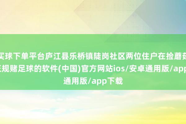 买球下单平台庐江县乐桥镇陡岗社区两位住户在捡蘑菇时-正规赌足球的软件(中国)官方网站ios/安卓通用版/app下载