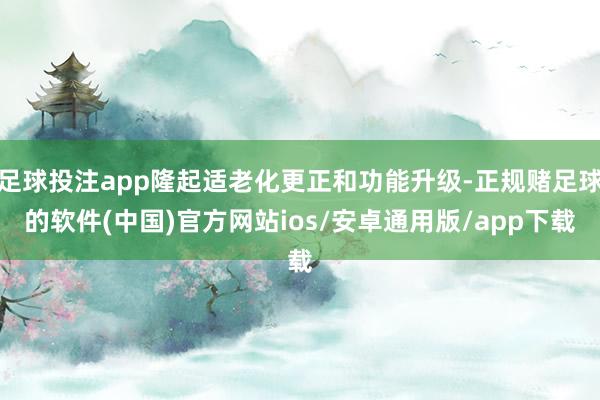 足球投注app隆起适老化更正和功能升级-正规赌足球的软件(中国)官方网站ios/安卓通用版/app下载