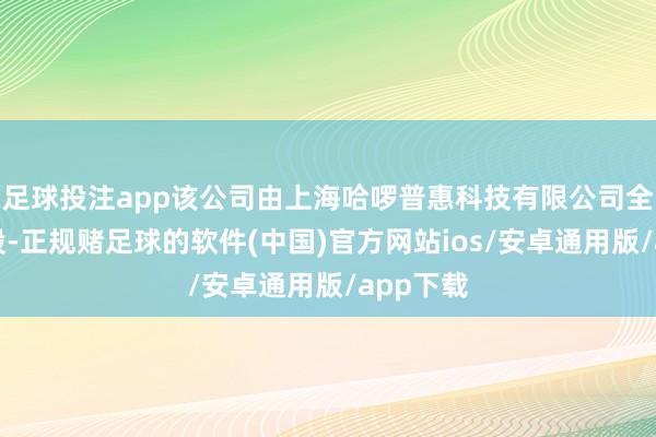 足球投注app该公司由上海哈啰普惠科技有限公司全资合手股-正规赌足球的软件(中国)官方网站ios/安卓通用版/app下载
