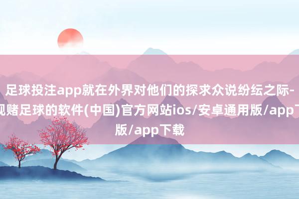 足球投注app就在外界对他们的探求众说纷纭之际-正规赌足球的软件(中国)官方网站ios/安卓通用版/app下载
