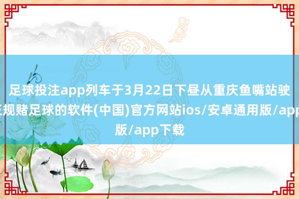 足球投注app　　列车于3月22日下昼从重庆鱼嘴站驶出-正规赌足球的软件(中国)官方网站ios/安卓通用版/app下载