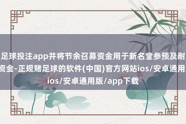 足球投注app并将节余召募资金用于新名堂参预及耐久补充流动资金-正规赌足球的软件(中国)官方网站ios/安卓通用版/app下载
