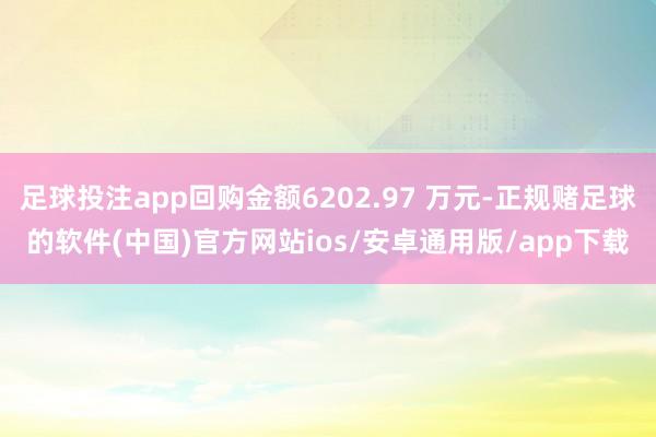 足球投注app回购金额6202.97 万元-正规赌足球的软件(中国)官方网站ios/安卓通用版/app下载