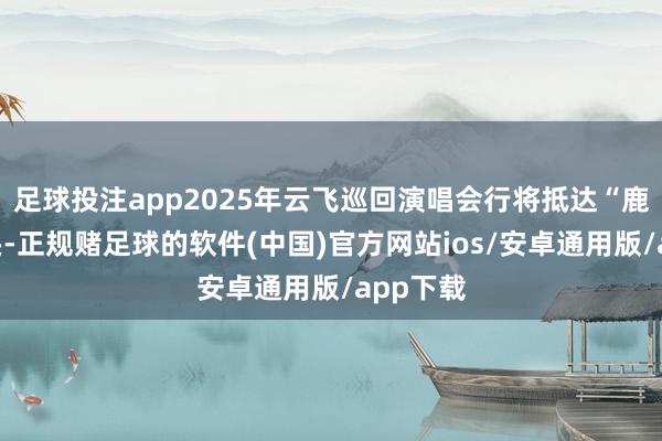 足球投注app2025年云飞巡回演唱会行将抵达“鹿城”包头-正规赌足球的软件(中国)官方网站ios/安卓通用版/app下载