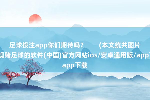 足球投注app你们期待吗? (本文统共图片-正规赌足球的软件(中国)官方网站ios/安卓通用版/app下载