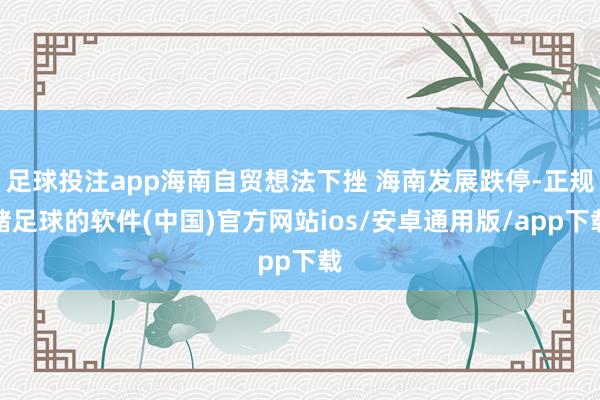 足球投注app海南自贸想法下挫 海南发展跌停-正规赌足球的软件(中国)官方网站ios/安卓通用版/app下载
