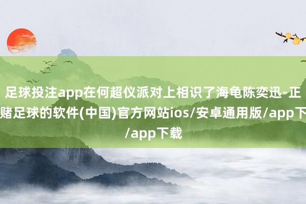 足球投注app在何超仪派对上相识了海龟陈奕迅-正规赌足球的软件(中国)官方网站ios/安卓通用版/app下载