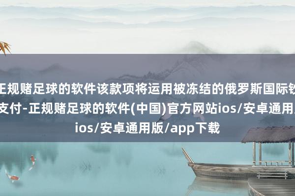 正规赌足球的软件该款项将运用被冻结的俄罗斯国际钞票的收益来支付-正规赌足球的软件(中国)官方网站ios/安卓通用版/app下载