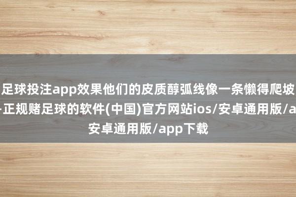 足球投注app效果他们的皮质醇弧线像一条懒得爬坡的地铁-正规赌足球的软件(中国)官方网站ios/安卓通用版/app下载