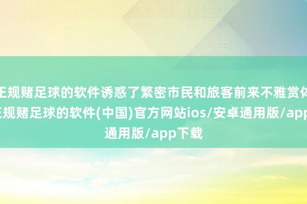 正规赌足球的软件诱惑了繁密市民和旅客前来不雅赏体验-正规赌足球的软件(中国)官方网站ios/安卓通用版/app下载