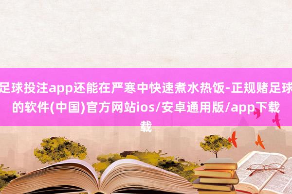 足球投注app还能在严寒中快速煮水热饭-正规赌足球的软件(中国)官方网站ios/安卓通用版/app下载