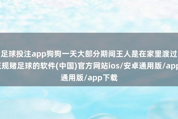 足球投注app狗狗一天大部分期间王人是在家里渡过的-正规赌足球的软件(中国)官方网站ios/安卓通用版/app下载