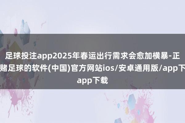 足球投注app2025年春运出行需求会愈加横暴-正规赌足球的软件(中国)官方网站ios/安卓通用版/app下载