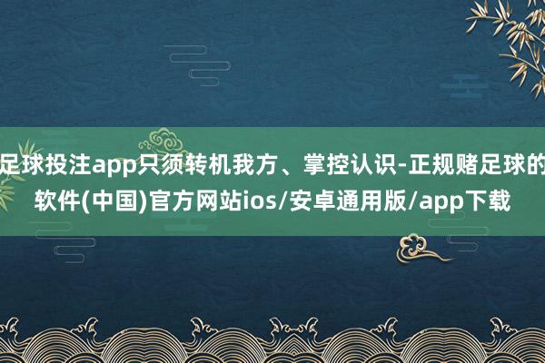 足球投注app只须转机我方、掌控认识-正规赌足球的软件(中国)官方网站ios/安卓通用版/app下载
