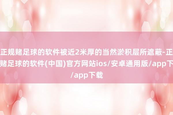 正规赌足球的软件被近2米厚的当然淤积层所遮蔽-正规赌足球的软件(中国)官方网站ios/安卓通用版/app下载