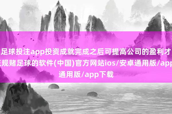足球投注app投资成就完成之后可提高公司的盈利才略-正规赌足球的软件(中国)官方网站ios/安卓通用版/app下载
