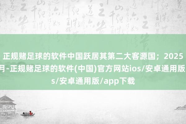 正规赌足球的软件中国跃居其第二大客源国；2025年前九个月-正规赌足球的软件(中国)官方网站ios/安卓通用版/app下载