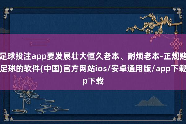 足球投注app要发展壮大恒久老本、耐烦老本-正规赌足球的软件(中国)官方网站ios/安卓通用版/app下载