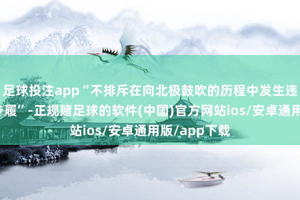 足球投注app“不排斥在向北极鼓吹的历程中发生违犯海外法的步履”-正规赌足球的软件(中国)官方网站ios/安卓通用版/app下载