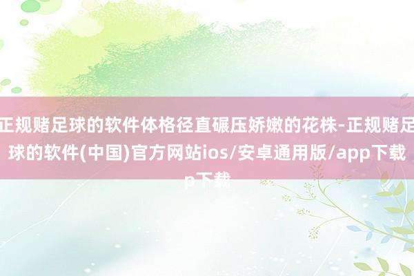 正规赌足球的软件体格径直碾压娇嫩的花株-正规赌足球的软件(中国)官方网站ios/安卓通用版/app下载