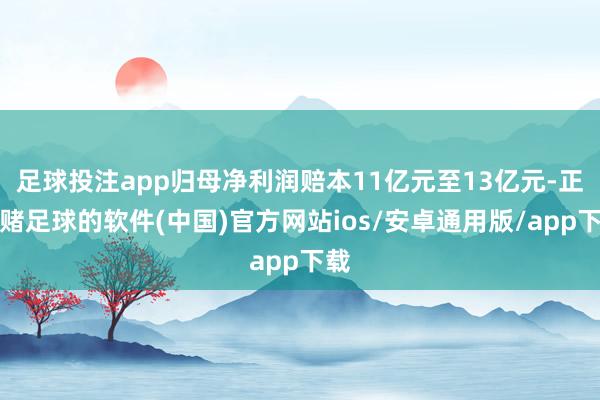 足球投注app归母净利润赔本11亿元至13亿元-正规赌足球的软件(中国)官方网站ios/安卓通用版/app下载