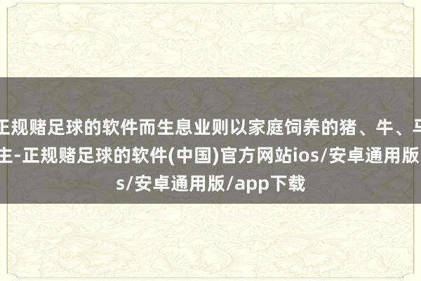 正规赌足球的软件而生息业则以家庭饲养的猪、牛、马和家禽为主-正规赌足球的软件(中国)官方网站ios/安卓通用版/app下载