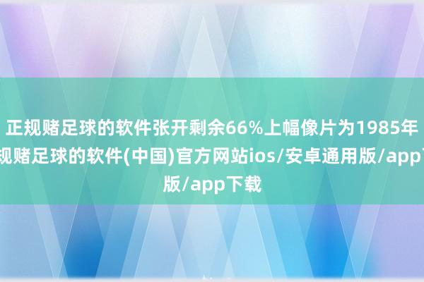 正规赌足球的软件张开剩余66%上幅像片为1985年-正规赌足球的软件(中国)官方网站ios/安卓通用版/app下载