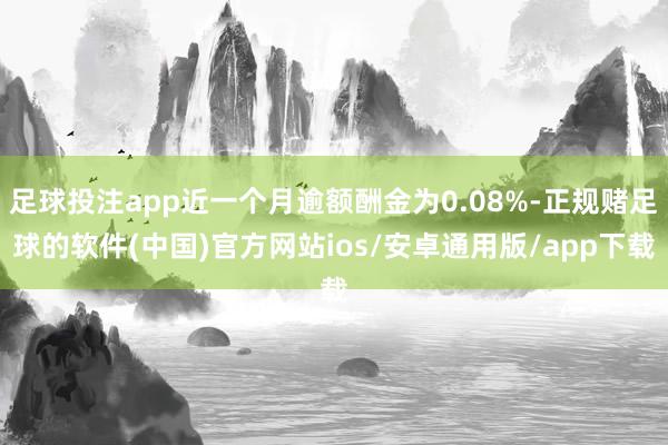 足球投注app近一个月逾额酬金为0.08%-正规赌足球的软件(中国)官方网站ios/安卓通用版/app下载