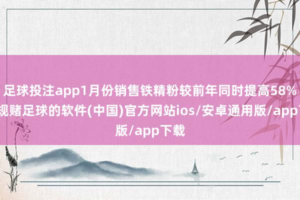 足球投注app1月份销售铁精粉较前年同时提高58%-正规赌足球的软件(中国)官方网站ios/安卓通用版/app下载