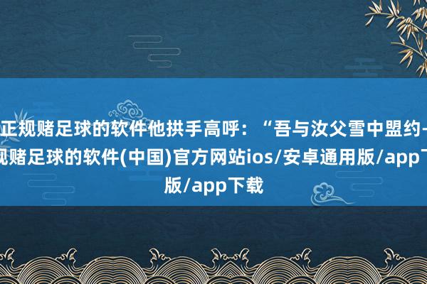 正规赌足球的软件他拱手高呼:“吾与汝父雪中盟约-正规赌足球的软件(中国)官方网站ios/安卓通用版/app下载