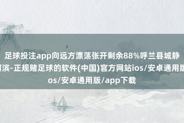 足球投注app向远方漂荡张开剩余88%呼兰县城静卧于呼兰河滨-正规赌足球的软件(中国)官方网站ios/安卓通用版/app下载