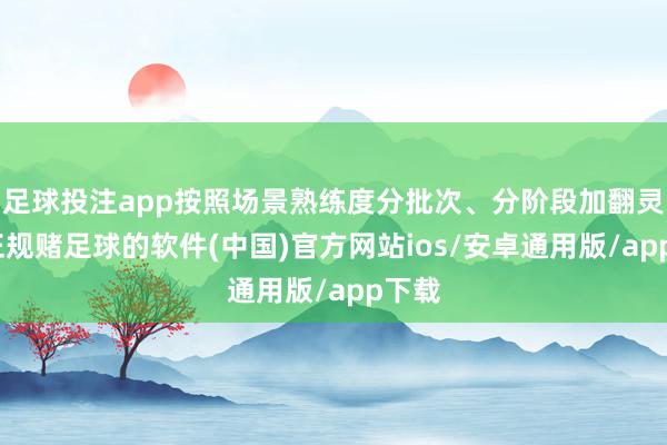 足球投注app按照场景熟练度分批次、分阶段加翻灵通-正规赌足球的软件(中国)官方网站ios/安卓通用版/app下载