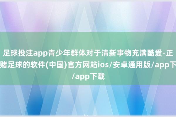 足球投注app青少年群体对于清新事物充满酷爱-正规赌足球的软件(中国)官方网站ios/安卓通用版/app下载