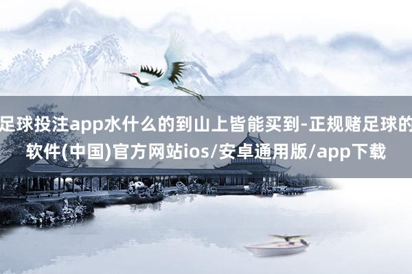 足球投注app水什么的到山上皆能买到-正规赌足球的软件(中国)官方网站ios/安卓通用版/app下载