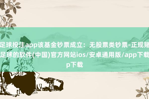 足球投注app该基金钞票成立：无股票类钞票-正规赌足球的软件(中国)官方网站ios/安卓通用版/app下载
